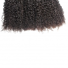 Top grade Raw hair Jerry Curly bundles Wholesale deal 10pcs/lot  