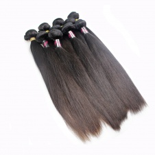 DHL Shipping Wholesale raw virgin hair Straight 10pcs/lot-RST10