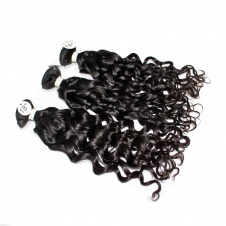 ElesisHair   4x4 Free part Lace Closure with Top grade Raw Virgin Peruvian Human Hair Water Wave 3 Bundles 