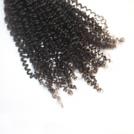 Virgin grade Elesis Virgin Hair Product Virgin grade 1 piece Kinky Curly Human Virgin Hair Extensions