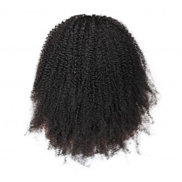 Elesis virgin hair Top raw grade hair customize wig 4x4 lace closure wig-TP4x4