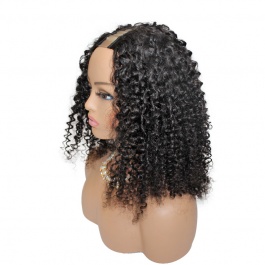 Elesis Virgin Hair  customize V-part Wig machine made raw hair wig -VP01
