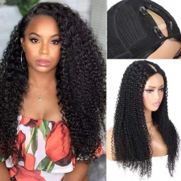 Elesis Virgin Hair  customize V-part Wig machine made raw hair wig -VP01